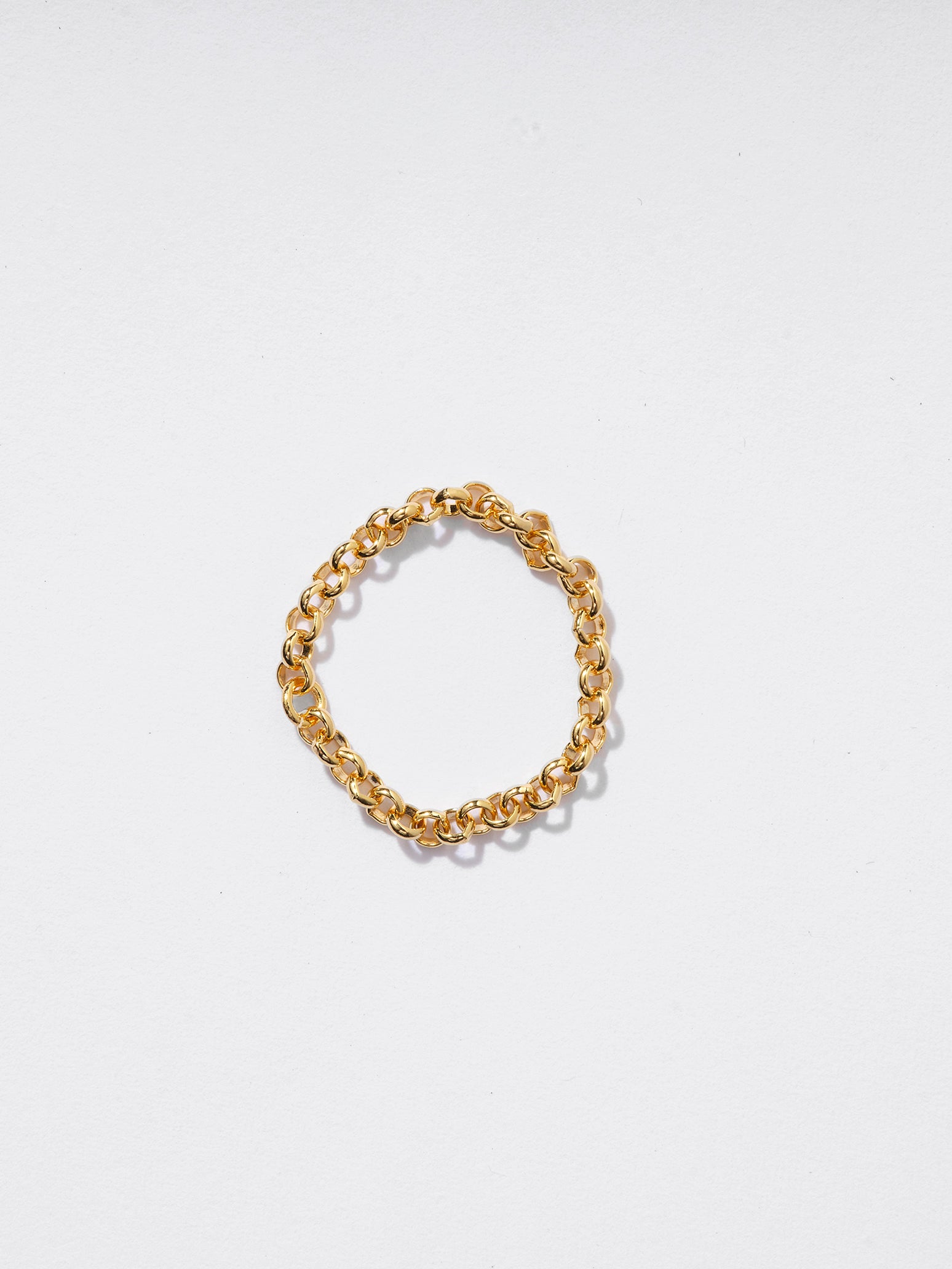 Stainless Steel Chain Ring