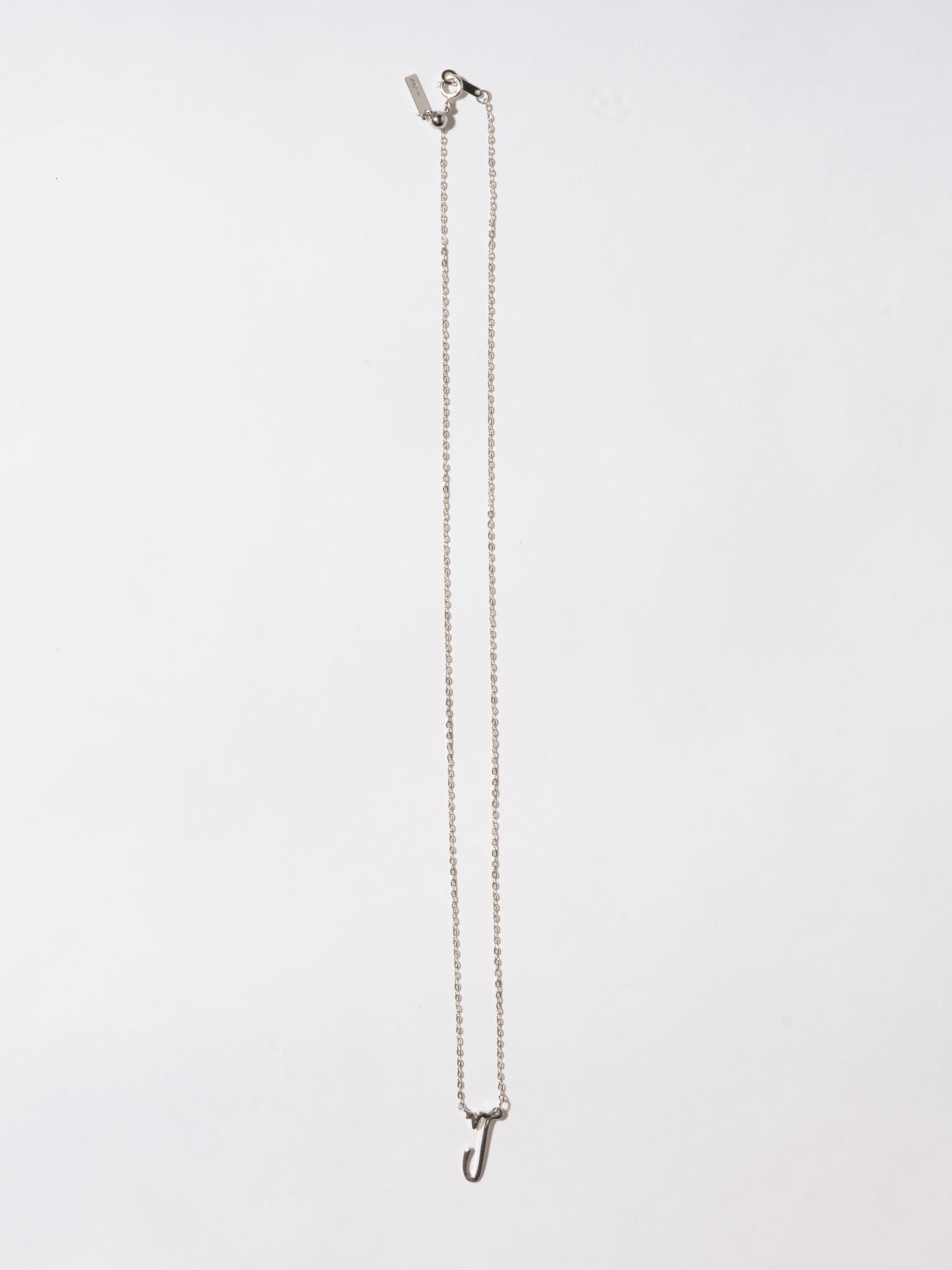 Zodiac Necklace Capricorn山羊座