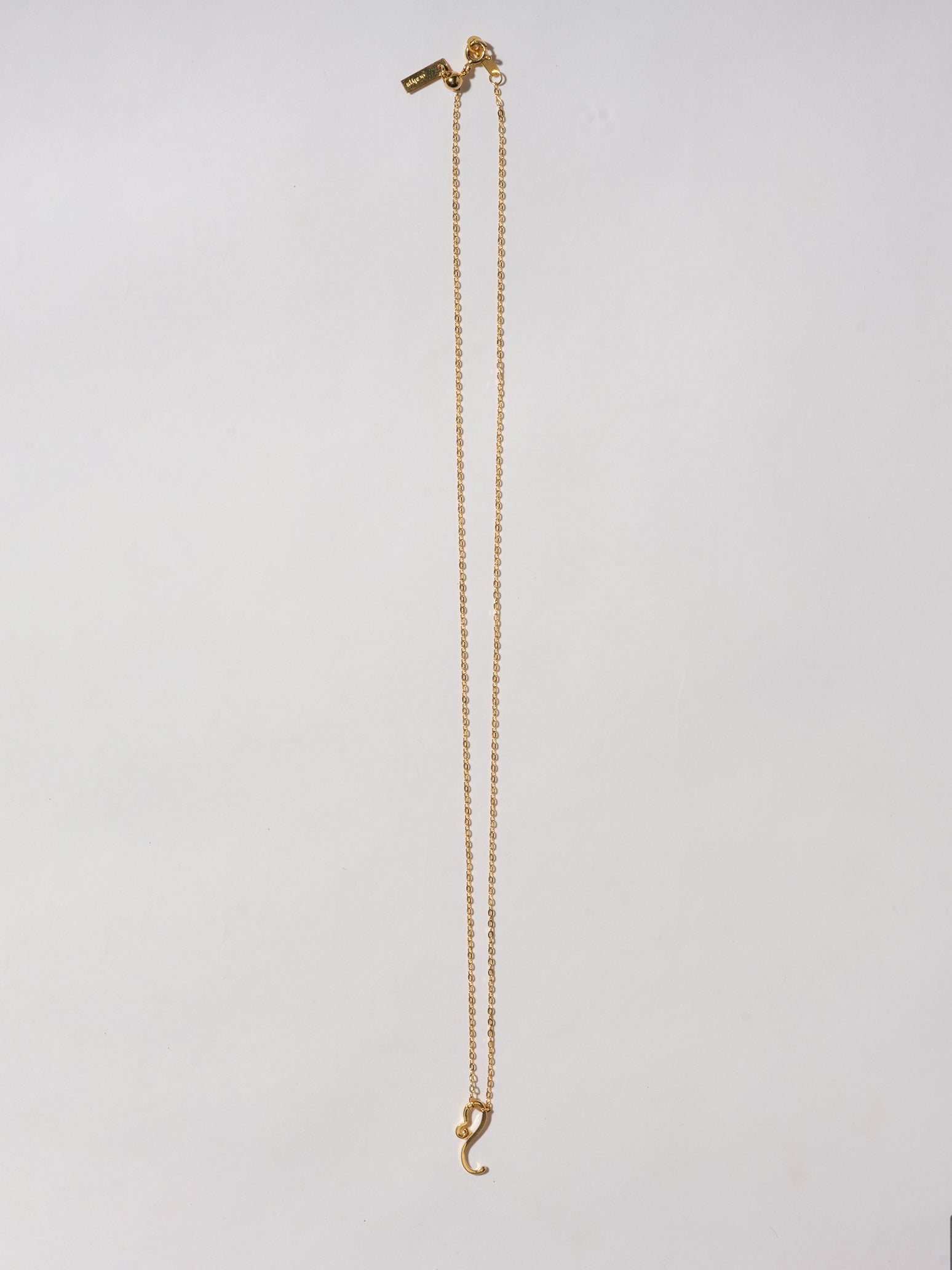 Zodiac Necklace Leo獅子座