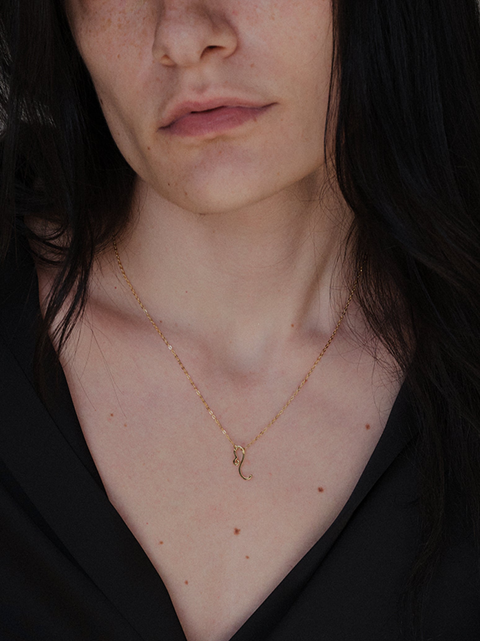 Zodiac Necklace Leo獅子座